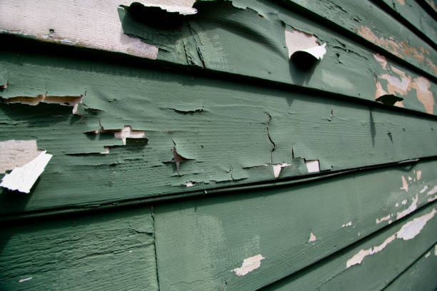 Best Dumpster Rental Services  in San Marcos, TX